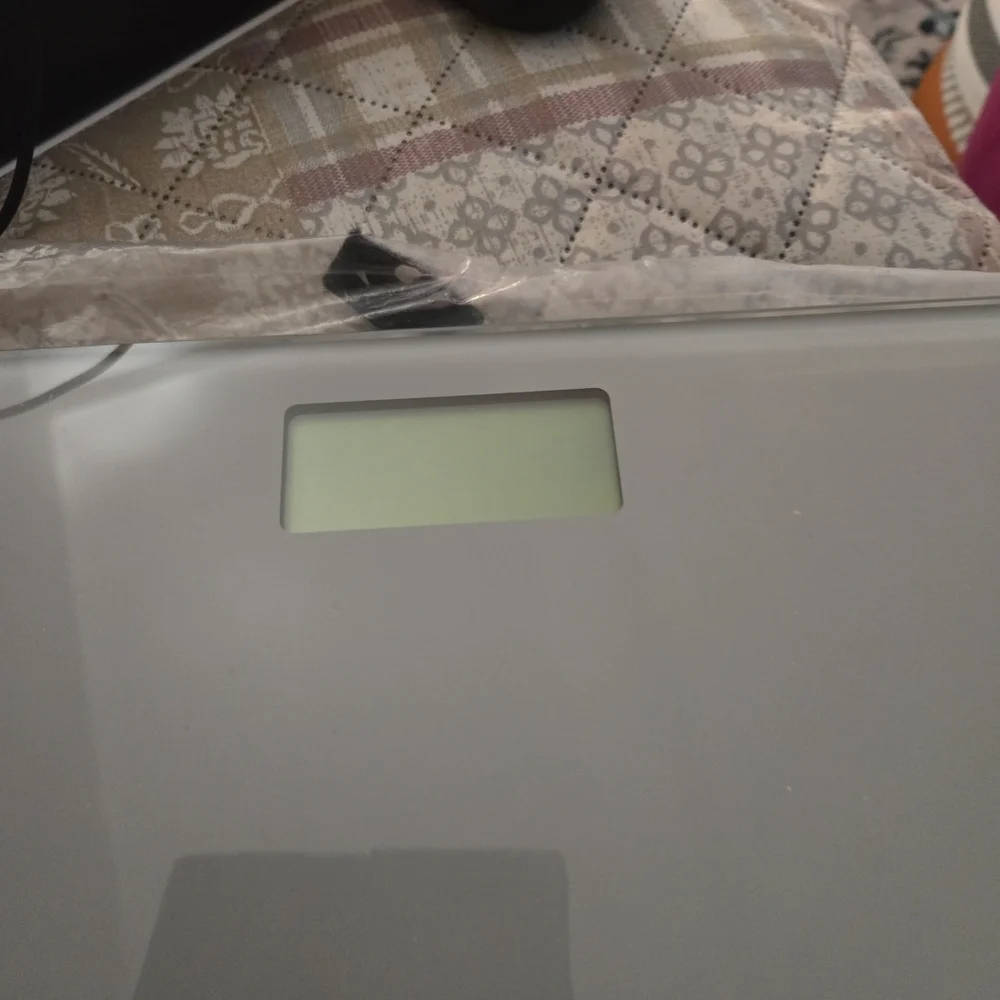 Digital‎ Glass Bathroom Scale Gray/Silver - Taylor